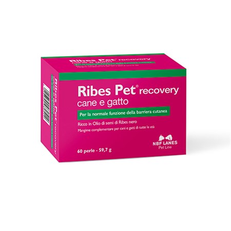 nbf lanes ribes pet recovery 60 perle
