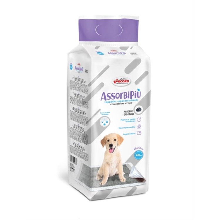 Record Assorbipiu 320 Tappetini Assorbenti Carbone Attivo 60 x 60