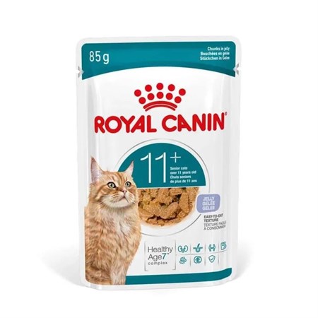 royal canin ageing 11 jelly 85 gr in gelatina per gatti