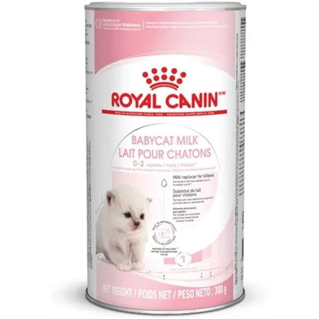 royal canin babycat milk gatto gr 300 latte in polvere