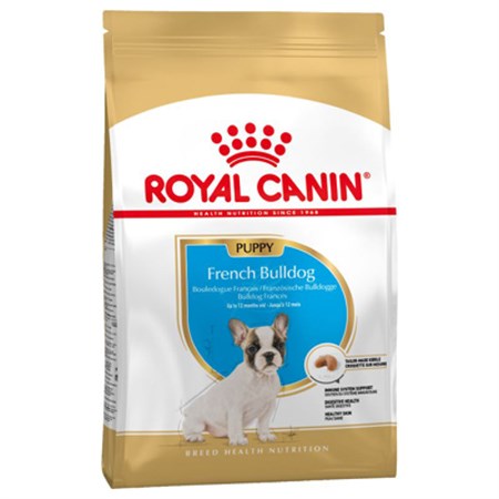 royal canin bulldog franch puppy 10 kg bulldog francese cucciolo