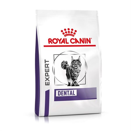 royal canin expert dental cat 1 5 kg crocchette per gatto