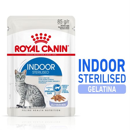 royal canin indoor sterilised jelly 85 gr in gelatina per gatti