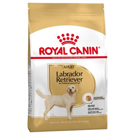 royal canin labrador retriever adult 3 kg cibo per cani di razza