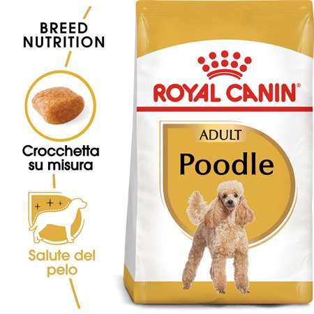 royal canin poodle adult 7 kg crocchette per barboncino