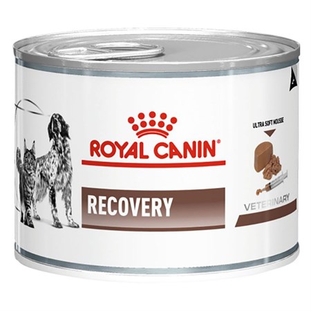 Royal Canin Recovery Veterinary Diet 195 gr Cane e Gatto in Cani