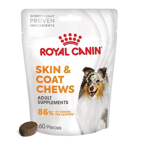 royal canin skin coat chews supplement 240 gr snack per cani