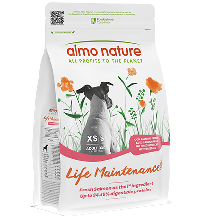 Almo Nature Life Maintenance Extra Small - Small Adult Salmone
